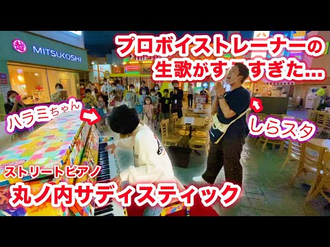 年収 ハラミ ちゃん