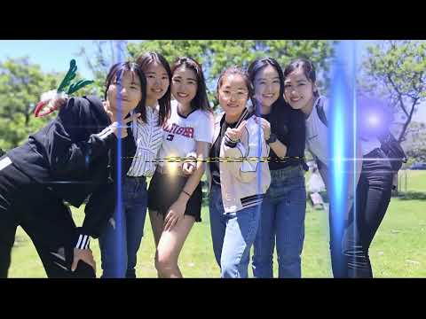 法律学科 明治学院大学法学部グローバル法学科　バーチャルオープンキャンパス　Vol.３　グローバル法学科のポイントその２　「1年春秋の基礎演習を全員履修　ディベートやプレゼンのスキルを身につけます」
