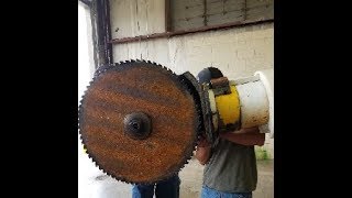 WAIT UNTIL YOU SEE WHAT THIS DOES TO A TREE