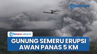 Gunung Semeru Erupsi: Awan Panas Meluncur Sejauh 5 Km, Tinggi Abu Capai 2 Km, Warga Mengungsi