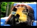 Channel 5 Adverts 2000 12