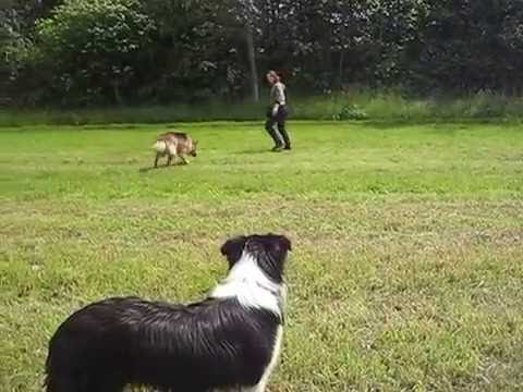 Unsichtbare Leine und Hier