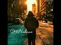 Nadaan Parinde WhatsApp Status Song Untold Vibes