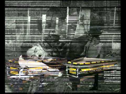 Smile (Sorriso) Charles Chaplin - Tocada em Cítara Smile (Sorriso) Charles Chaplin - Tocada em Cítara