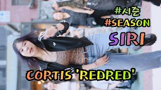 SIRI [ CORTIS (코르티스) 'REDRED' ] (20260620) #SEASON #시즌 #홍대버스킹 #쭌자카