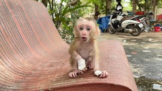 Mommy ....!!! Where Are You....????