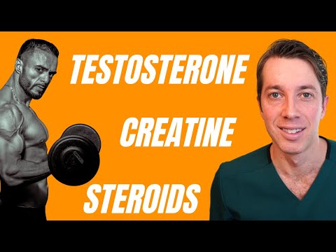 Do Steroids Cause Hair Loss? | Impact of Creatine & Testosterone on Hair Growth