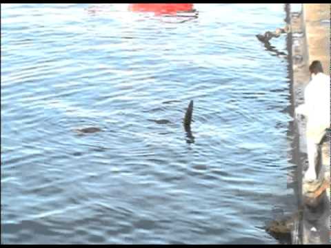 Punta del Este 2011 - Uruguay