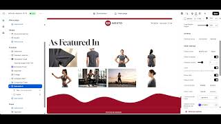 Debutify Theme Feature on Section Widget | Highlight Key Features & Boost Sales