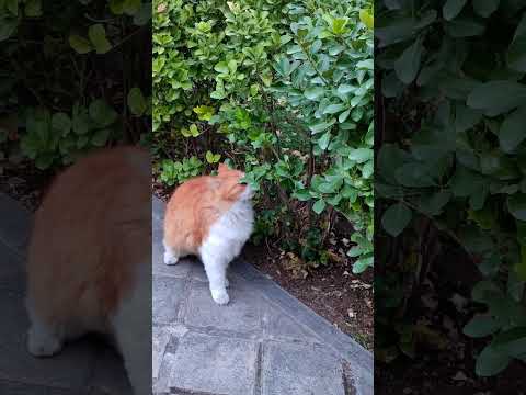 ۱۵ آوریل ۲۰۲۵