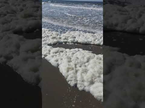 Deadly Sea Foam
