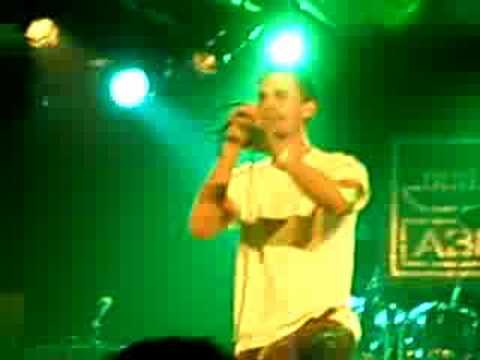 Riddim Colony - Everyday