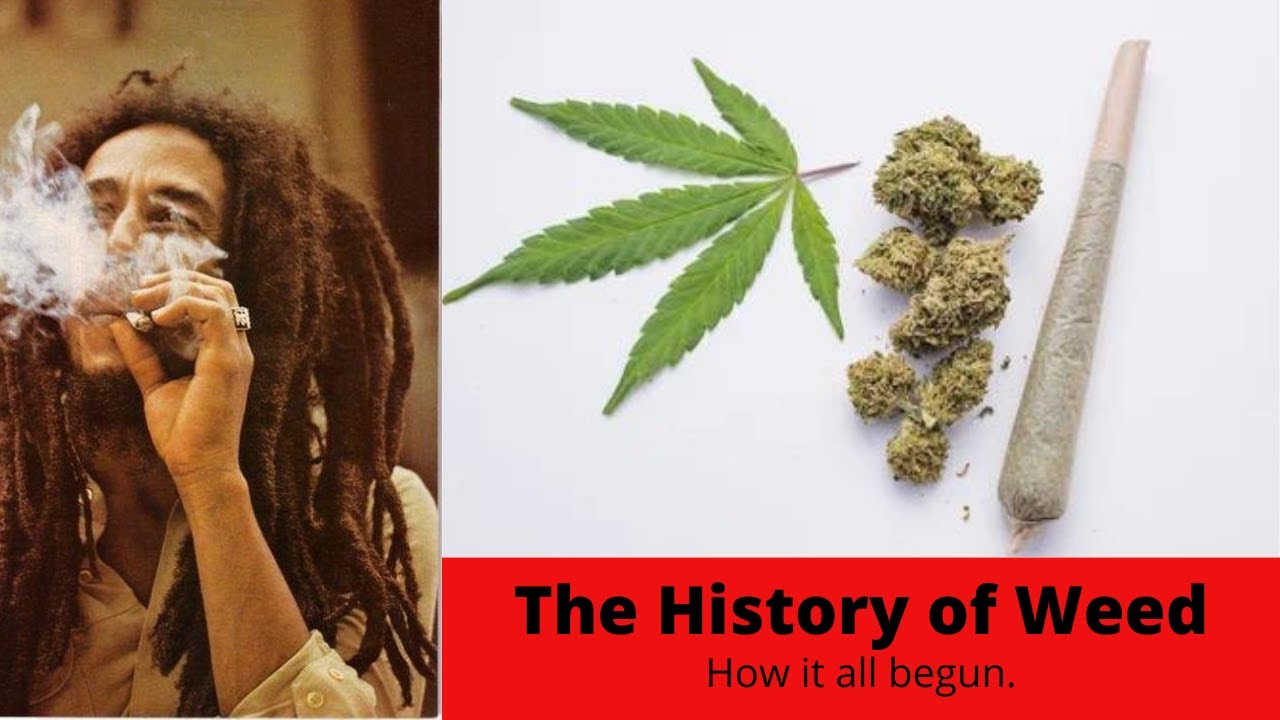 The History of marijuana (WEED) How long ago did people start getting High? [HISTORY IS COOL]