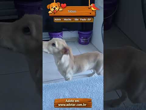 Vídeo de Tobias
