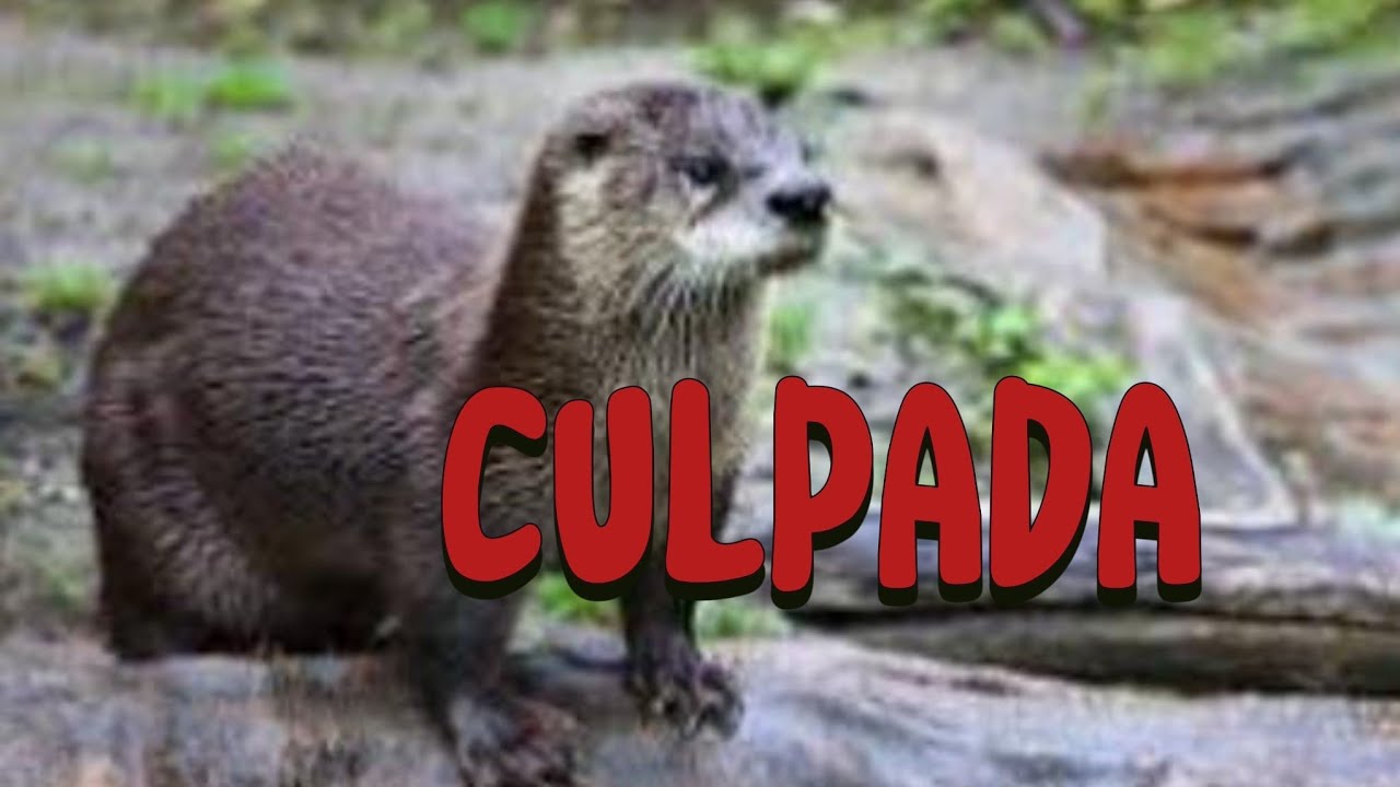 como proteger lagos de peixe das lontras