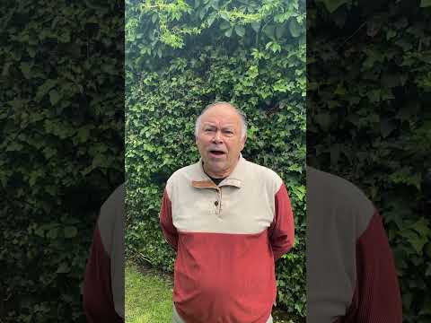 Proyecto La Escalera Cerro de Arica, Corral, Región de los Ríos.