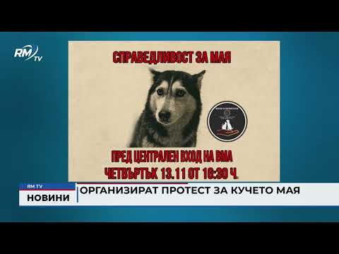 Организират протест за кучето Мая