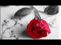 Bewafa Song Hindi