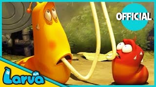 Download lagu LARVA Funny Animation | LARVA AND THE SPAGHETTI | Cartoons | Comics | LARVA  mp3