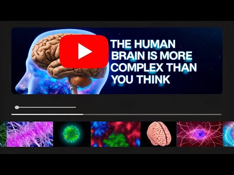 The Mind-Blowing Complexity of the Human Brain Revealed