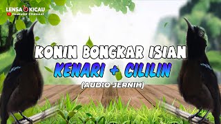 Download lagu MASTERAN KONIN ISIAN KENARI   CILILIN (AUDIO JERNIH) mp3
