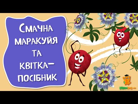 Дива природи. Явища навколо нас. Дивовижна Пасифлора