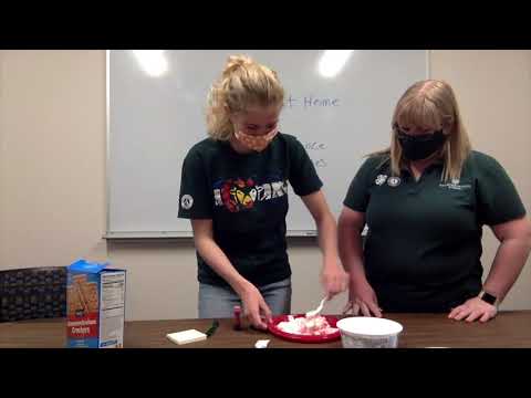 Tectonic Plates with Graham Crackers