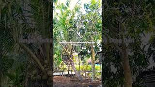 Download lagu Jangan Terkejut Jika Dukungan Mu Dtng Dari Orng asing #motivation #motivasihidup #viralvideo mp3