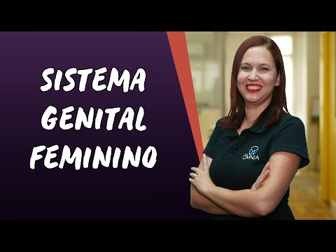 Sistema Genital Feminino - Brasil Escola