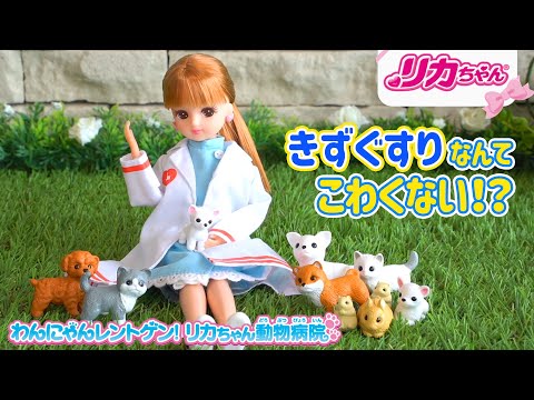 【リカちゃん】🐱動物病院🐶　きずぐすりなんてこわくない❗️