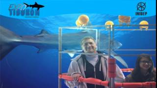 DIA 2 Expo Tiburon304