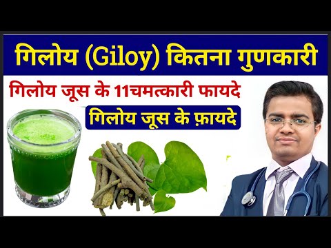 गिलोय (Giloy) के फ़ायदे | Giloy ke fayde | Giloy Juice | Giloy Juice Ke Fayde | गिलोय का जूस फ़ायदे