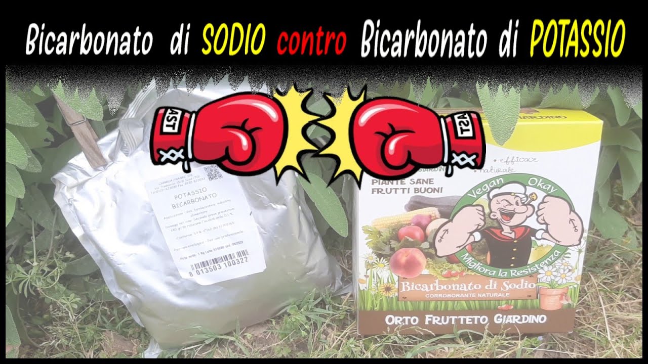 DIFFERENZA TRA BICARBONATO di POTASSIO e BICARBONATO di SODIO