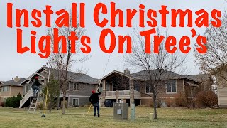 How to Install Christmas Lights on Tree