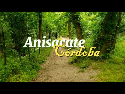 Sendero un día nublado y de llovizna - Anisacate / Córdoba