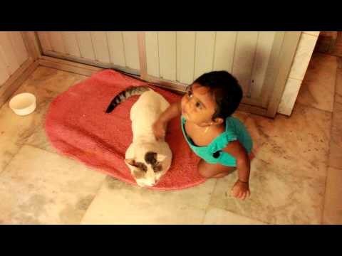 Aashna and the poor cat