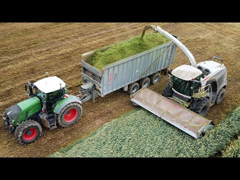 Claas Jaguar 980 Black | Fendt 415 818 930 933 | JD 6250R | Trinciatura triticale