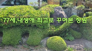 77세,내생애 최고급으로 꾸며본 아름다운 정원