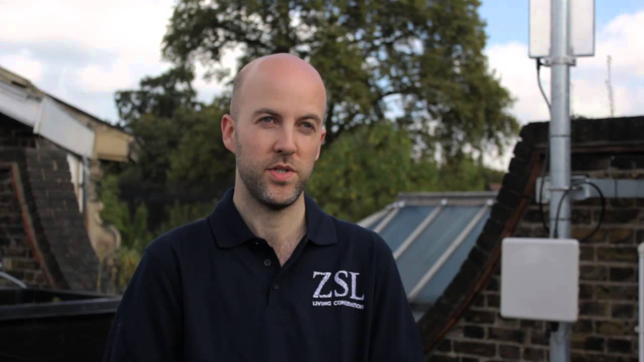 ZSL, Ofcom and Google - White spaces trial
