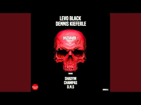 Disturbed (D.N.S Remix)