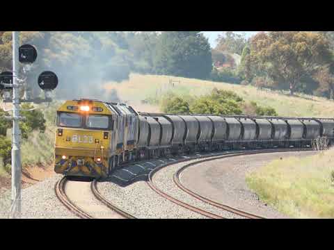 Pacific National Grain Train / NGPF & NGKF Hoppers - PoathTV Australian Railways