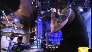 Molotov, Festival de Viña 2004