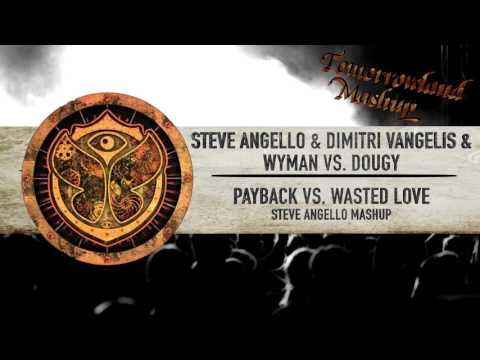 Steve Angello & Dimitri Vangelis & Wyman vs. Dougy - Payback vs. Wasted Love // TML Mashup