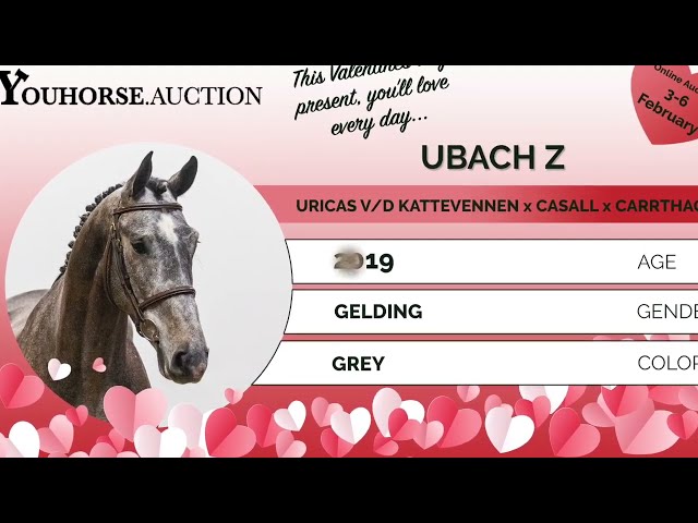 Ubach homevideo