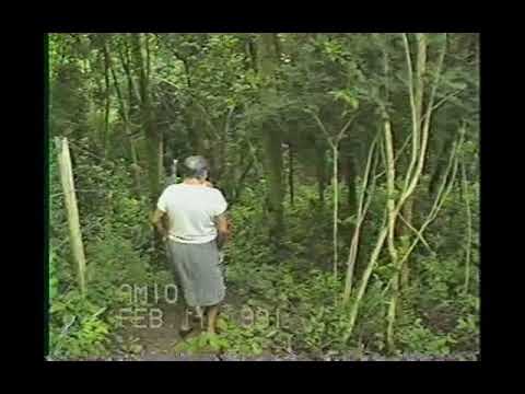 video do Fernando na chacara em boituva são paulo