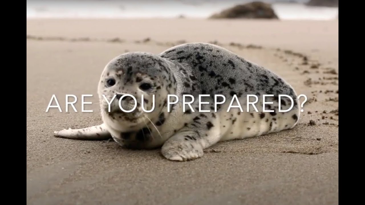 Peat Sorb - Are you prepared?