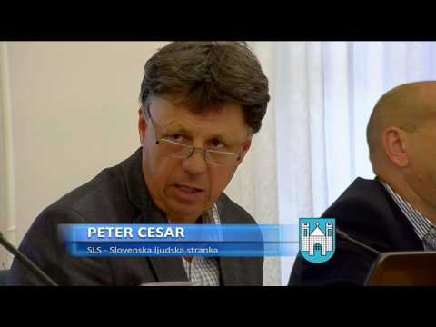 20. redna seja Občinskega sveta MOSG - 1.del