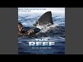 The Reef Theme