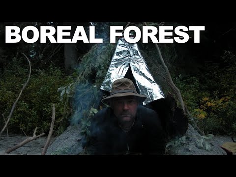 Survivorman | Boreal Forest | Season 1 | Episode 1 | Les Stroud