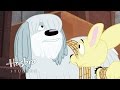 Pound Puppies There S Nothing To Worry About